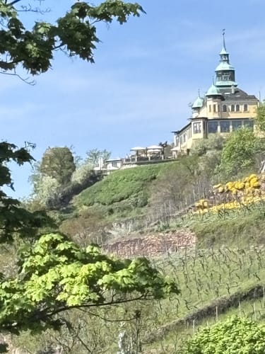 Radebeul: Wahnsdorf - Bennoschlösschen Rundwanderung