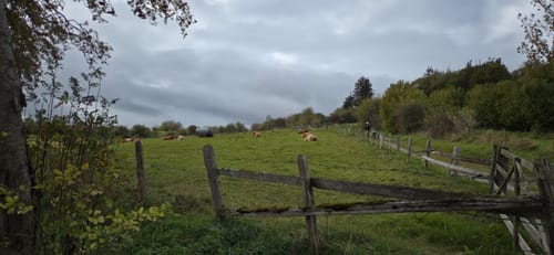 Rundwanderung Hiebammenhütte