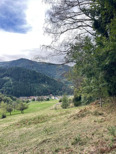 Mühlen-Rundwanderweg Simonswald