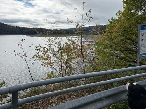 Rursee: Schöne Aussicht