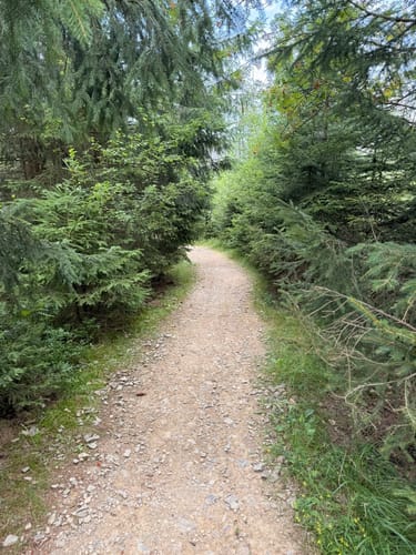 Naturmythenpfad Braunlage