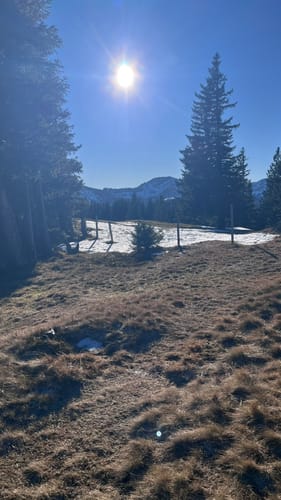 Immenstadt - Alpe Gschwenderberg - Immenstädter Horn