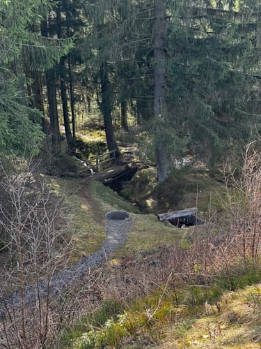 WasserWanderWeg: Clausthaler Teiche