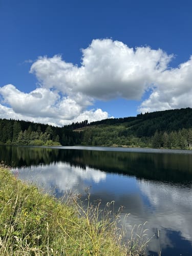 Von Hahnenklee zum Schalker Turm