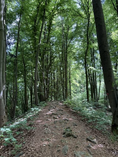 Rundweg Happurg