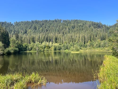 Sankenbachsteig (Premiumwanderweg)