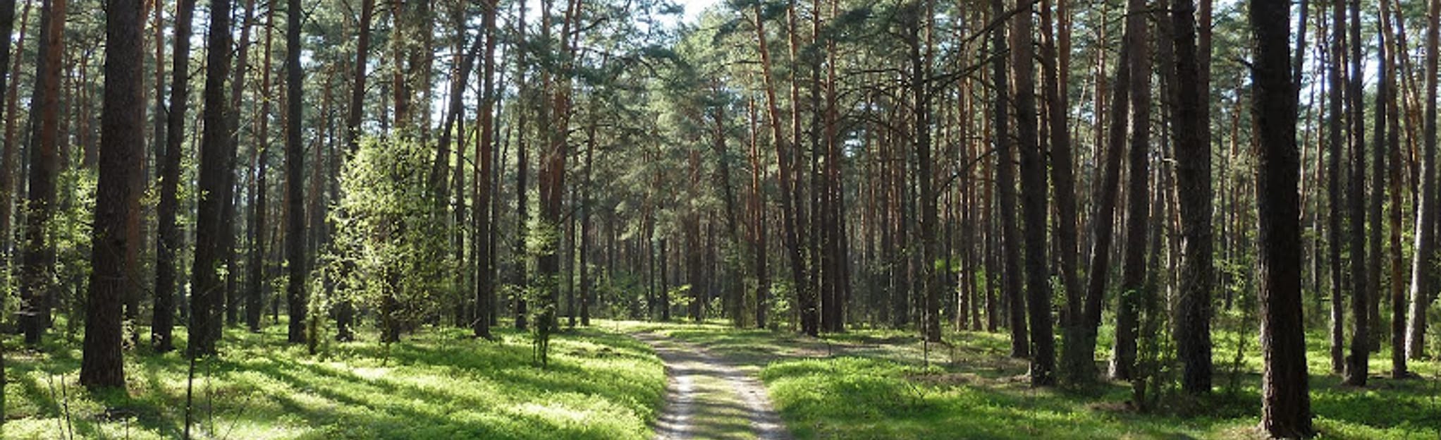 Kazimierz W. WójcickiWeg 64 Fotos Woiwodschaft Masowien, Polen