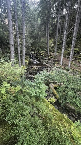 Schluchtensteig Etappe 3: Schattenmühle - Fischbach
