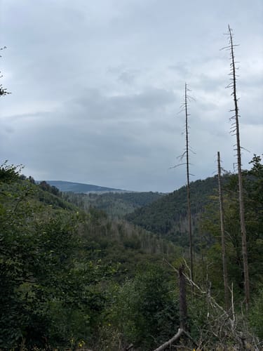 Durch das Ilsetal zur Plessenburg