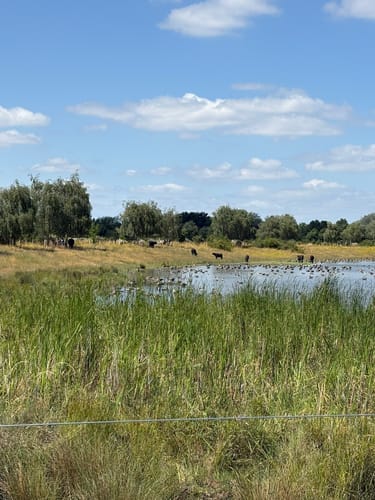 Berliner Mauerweg Etappe 6: Schöneweide - Schönefeld