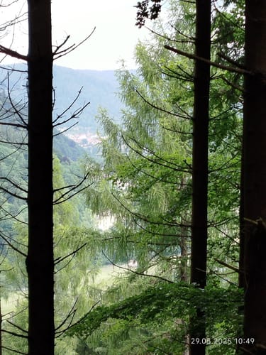 Cross Rad Wandertour mit Teufelskanzel Aussicht zum Neckar