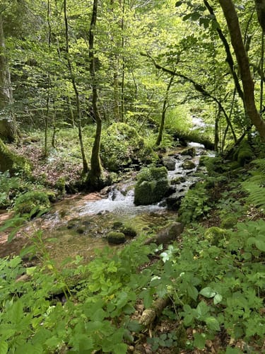 Schluchtensteig Etappe 6: Todtmoos - Wehr