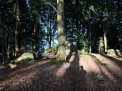 Schnorrenbacher-Weg (Wanderweg 6)