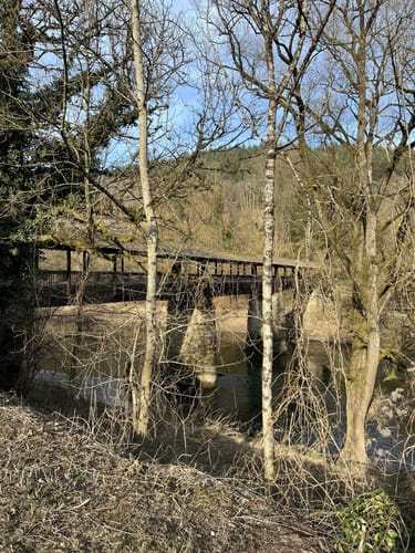 Felsenweg 1 (Premiumwanderweg)