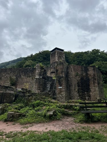 Neckarsteinach: Vier Burgen und Goetheblick [CLOSED]