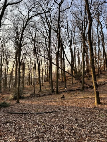 Traumhafte Siebengebirgsrunde mit Löwenburg und Drachenfels