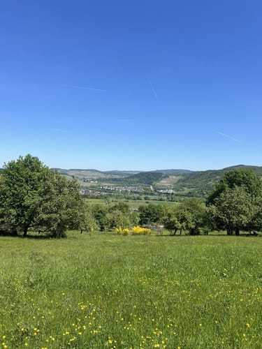 Vom Warsberg nach Ayl