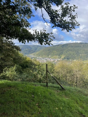 Moselsteig Etappe 15: Zell (Mosel) - Neef