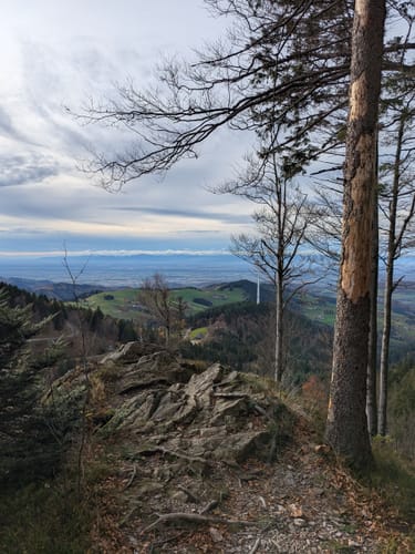 Schauinsland Rundweg