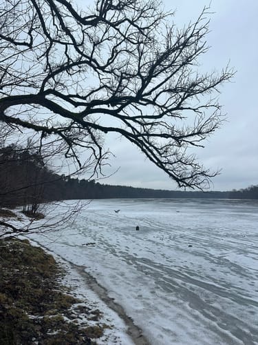 Straussee Runde