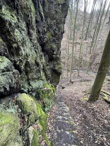 Rabenauer Grund - Somsdorf - Tharandt