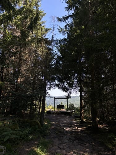 Kaltenbronn Rundweg 1