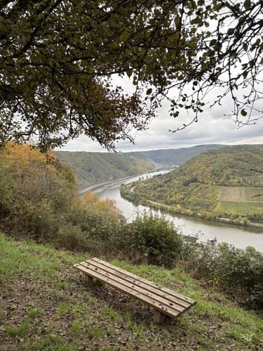 Moselsteig Etappe 19: Cochem - Treis-Karden