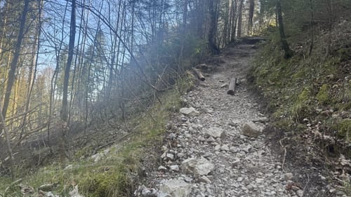 Sonnenspitz und Graseck ab Kochelsee