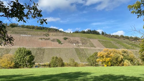 Mosel Radweg Etappe 5: Piesport - Bernkastel-Kues