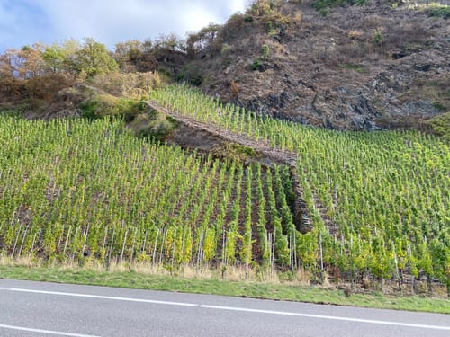 Mosel Radweg Etappe 5: Piesport - Bernkastel-Kues