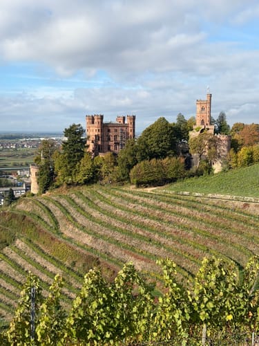Weingut Schloß Ortenberg Rundweg