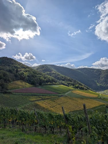Rotwein- und Ahrtal-Wanderweg von Rech