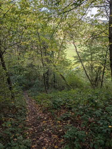 Rotwein- und Ahrtal-Wanderweg von Rech