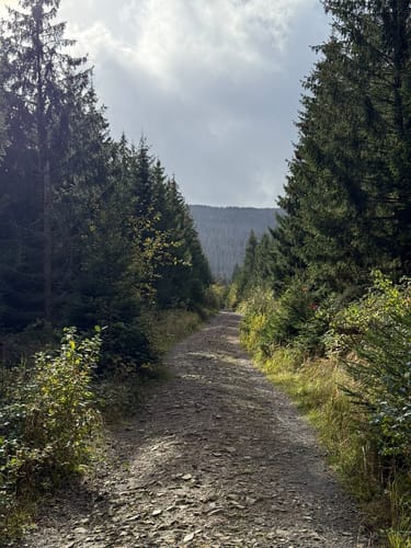 Brocken via Heinrich-Heine-Weg