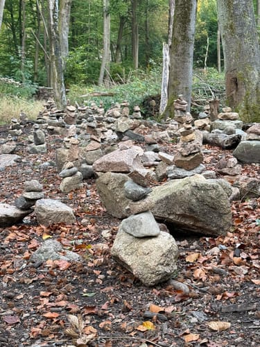 Brocken via Heinrich-Heine-Weg