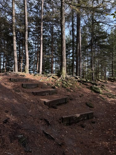 Schrammsteine und Hohe Liebe ab Bad Schandau
