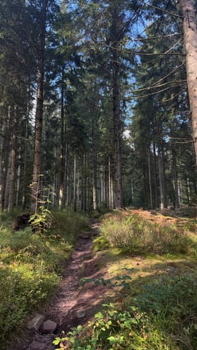 Badener Höhe ab Sand
