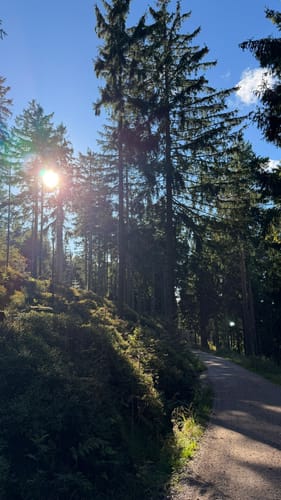 Badener Höhe ab Sand