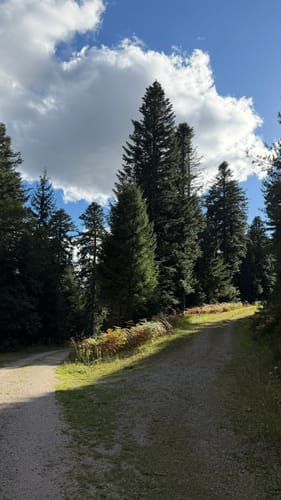Badener Höhe ab Sand