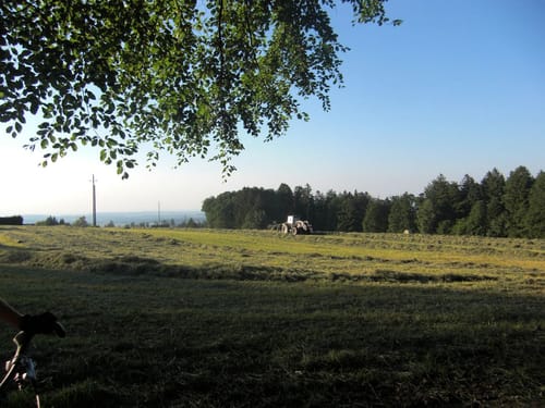 Marxzell - Dobel
