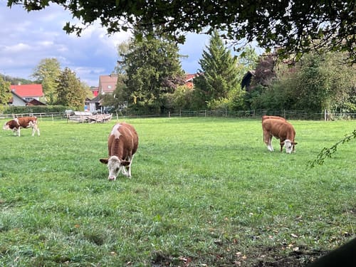 Herrsching am Ammersee - Kloster Andechs