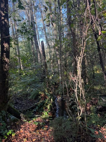 Greimerather Höhenweg (Traumschleife)