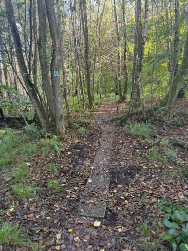 Greimerather Höhenweg (Traumschleife)