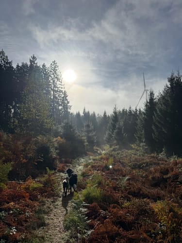 Greimerather Höhenweg (Traumschleife)