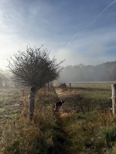 Greimerather Höhenweg (Traumschleife)