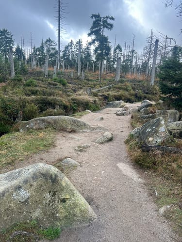 Rund um das Große Torfhausmoor