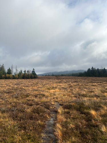 Rund um das Große Torfhausmoor