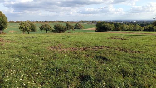 Bad Soden am Taunus: Alter Kurpark - Schmiebachtal - Wilhelmspark