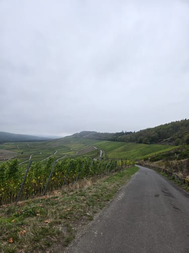 Klosterweg Kloster Machern