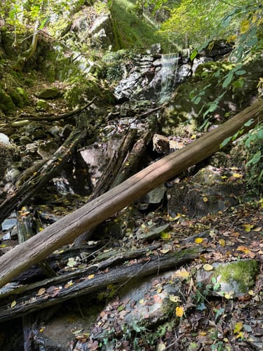 Laubach Wasserfall via Altwied und Melsbach
